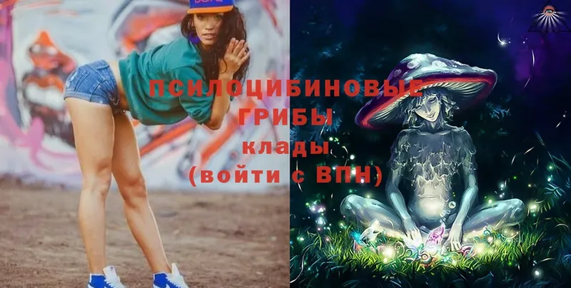 Псилоцибиновые грибы Magic Shrooms  Калач 